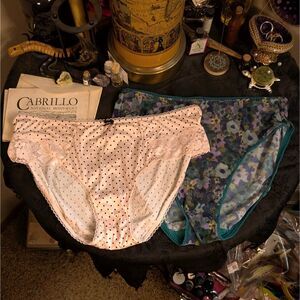 Victoria's Secret Polka Dot Floral Mesh Panties Women's Large Pink Blue